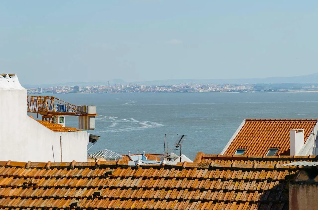 Cosy Luxury Apartment - Lisbon Center contacts